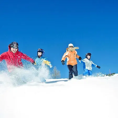 度假居 Holiday Village Am Feuerkogel - Obs02508-fya